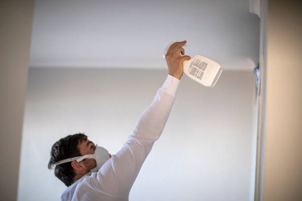 Best Black Mold Removal  in Oxoboxo River, CT