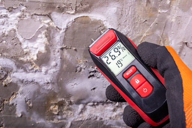 Best Office Mold Removal Services  in Oxoboxo River, CT