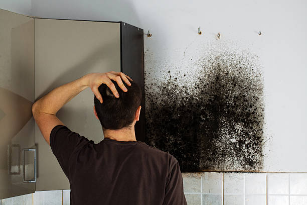 Best Mold Cleaning Services  in Oxoboxo River, CT